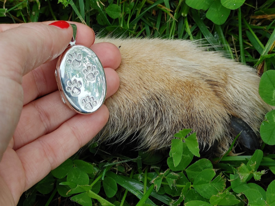 Sterling Silver Dog Paw Picture Locket