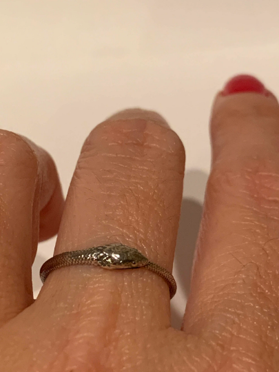 Sterling Silver Ouroboros Snake Ring